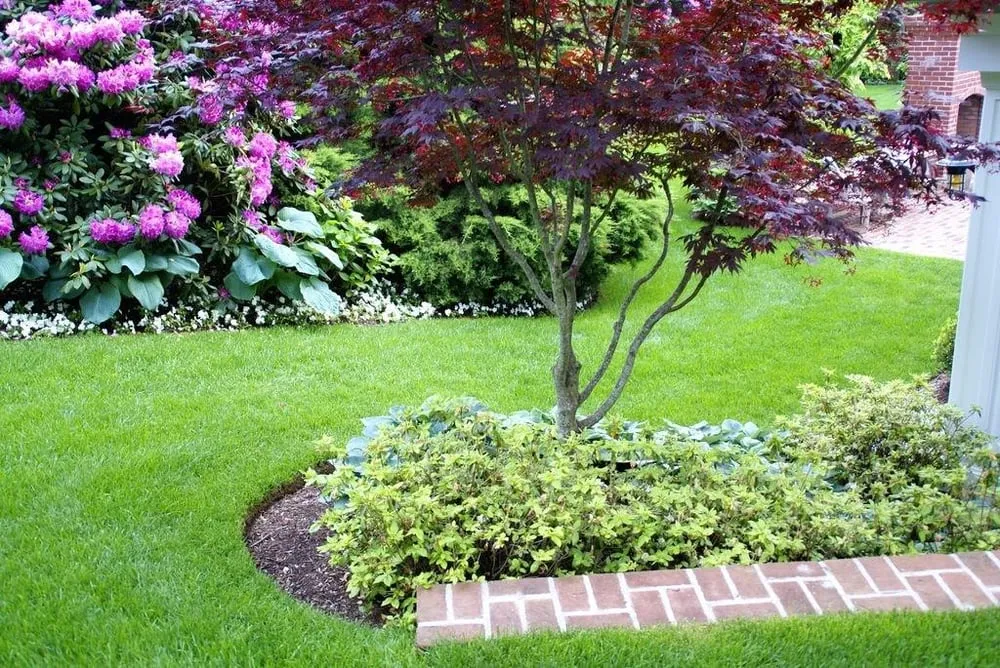 Affordable lawn mowing service experts serving Water Mill, NY - Heirloom Gardens