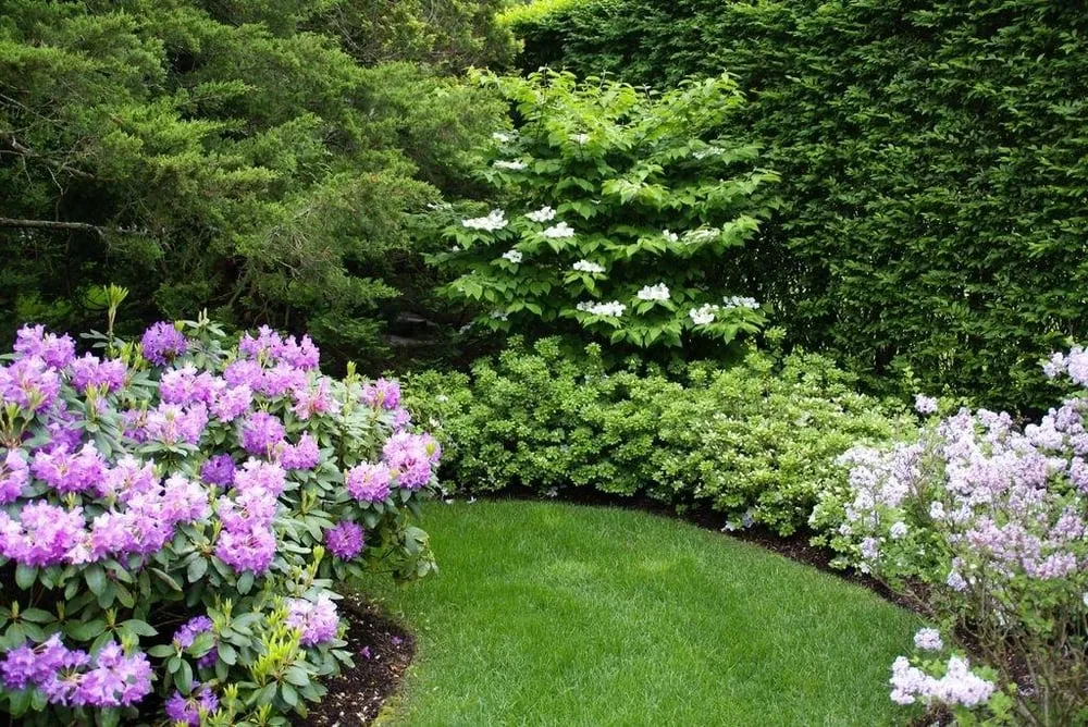 Affordable lawn mowing service experts serving Water Mill, NY - Heirloom Gardens