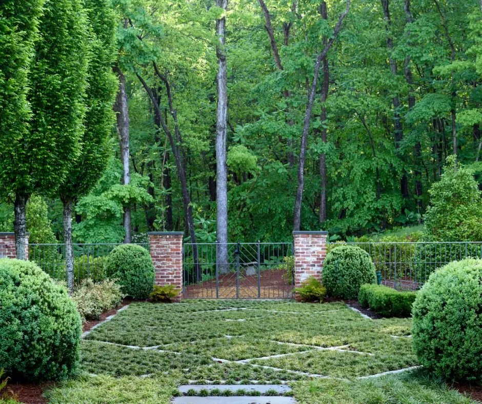Trusted yard cleanup service for year-round maintenance across Norcross, GA - Heirloom Tree and Garden