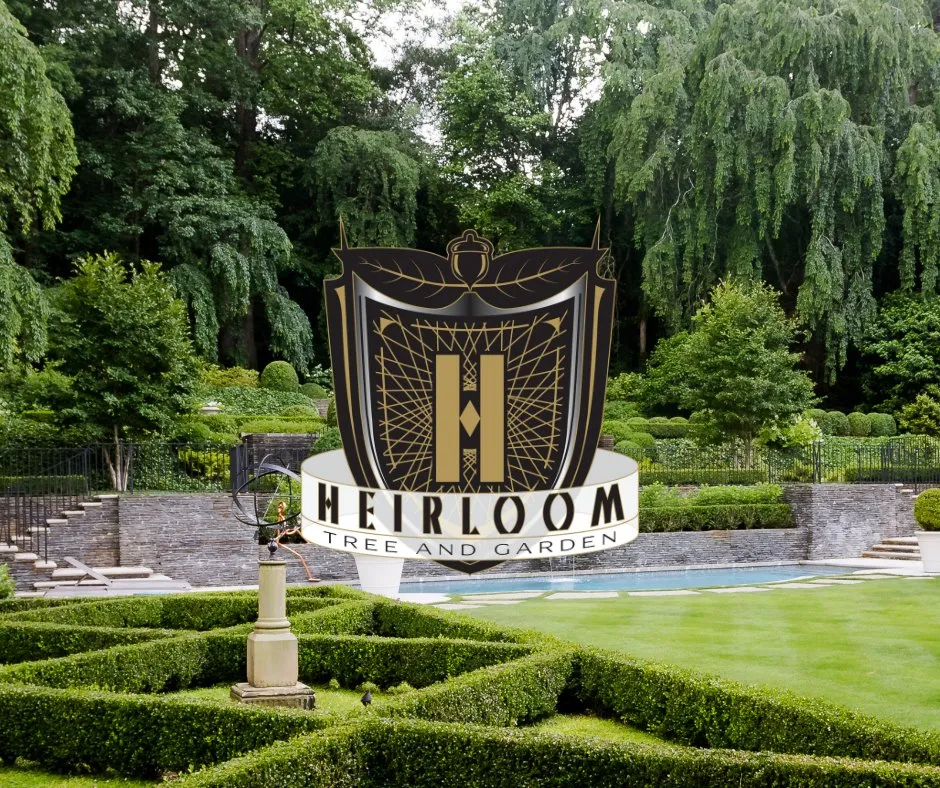 Expert landscape installation for homes in Norcross, GA by Heirloom Tree and Garden