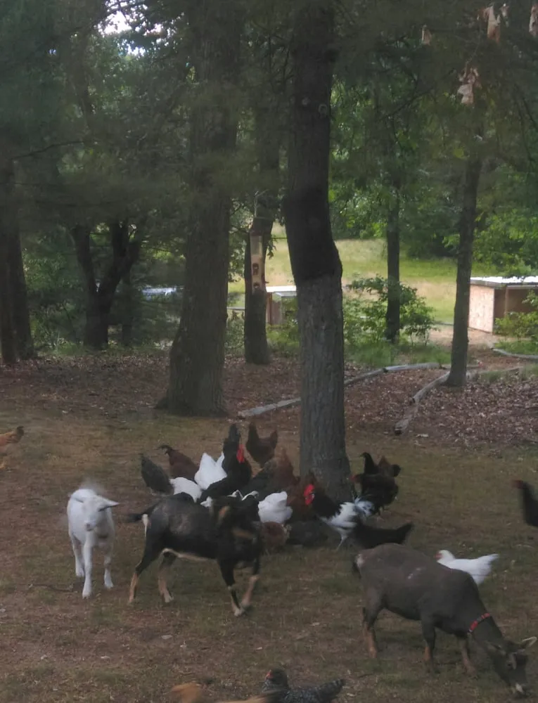 Affordable landscaping services in Holton, MI by Hekkema Family Farm