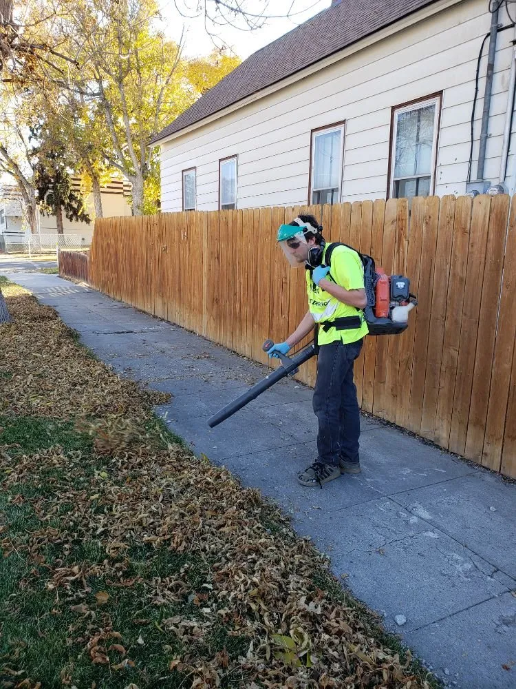 Affordable garden landscaping for homes across Helena, MT - Helena Hedge Trimming