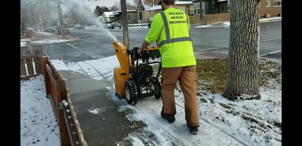Top-rated yard cleanup service in Helena, MT by Helena Hedge Trimming