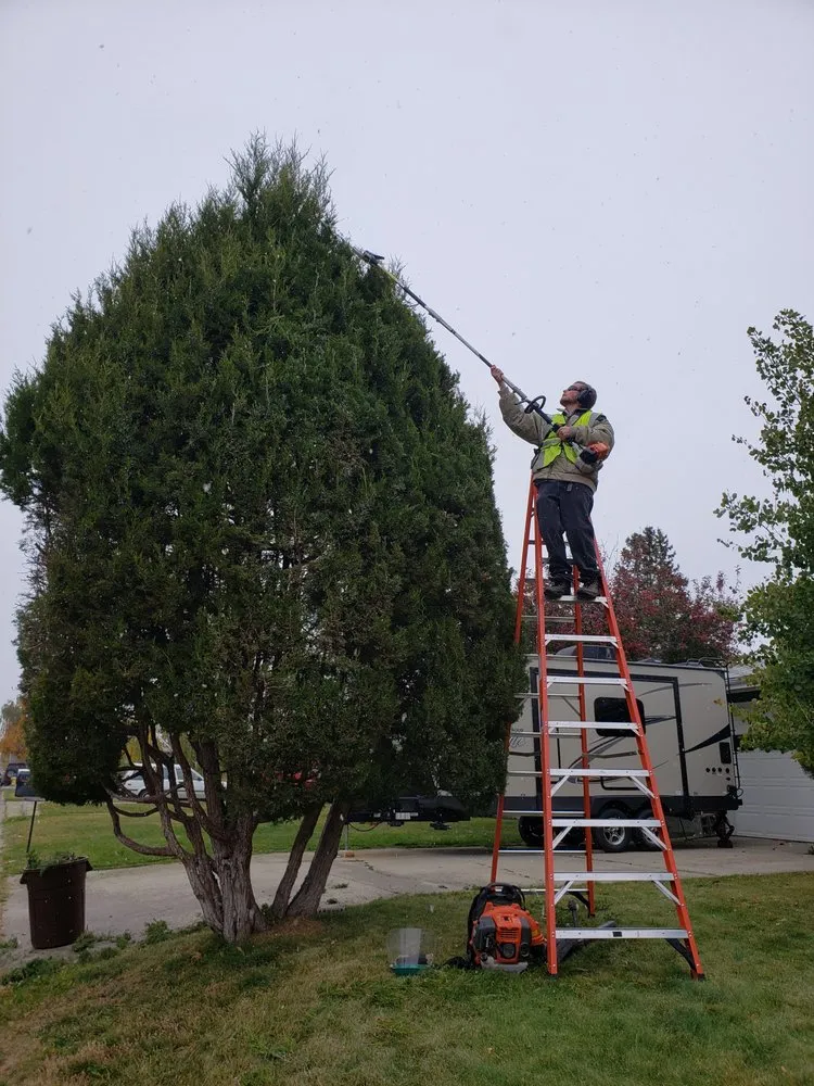 Trusted landscaping services in Helena, MT - Helena Hedge Trimming
