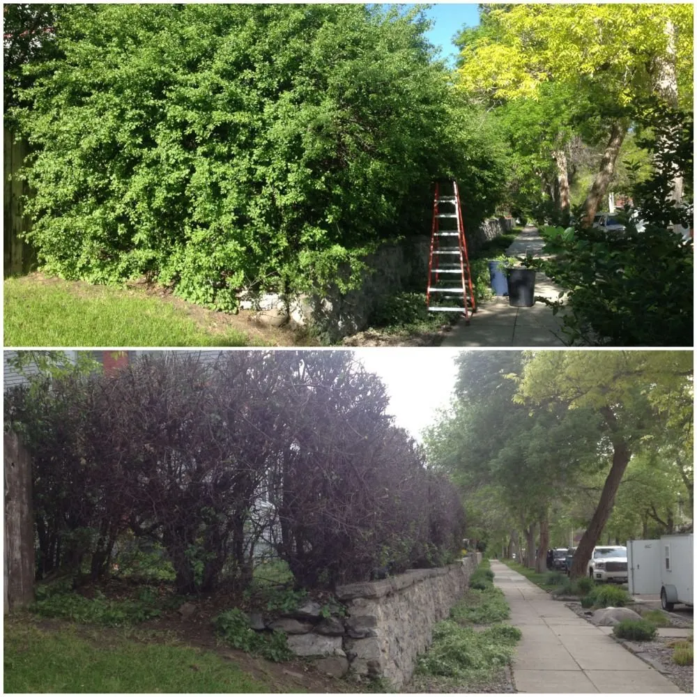 Custom garden landscaping experts serving Helena, MT - Helena Hedge Trimming