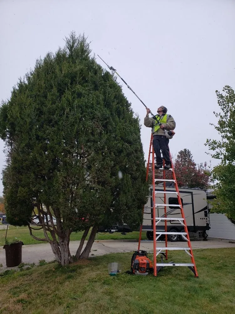 Trusted lawn care service in Helena, MT by Helena Hedge Trimming