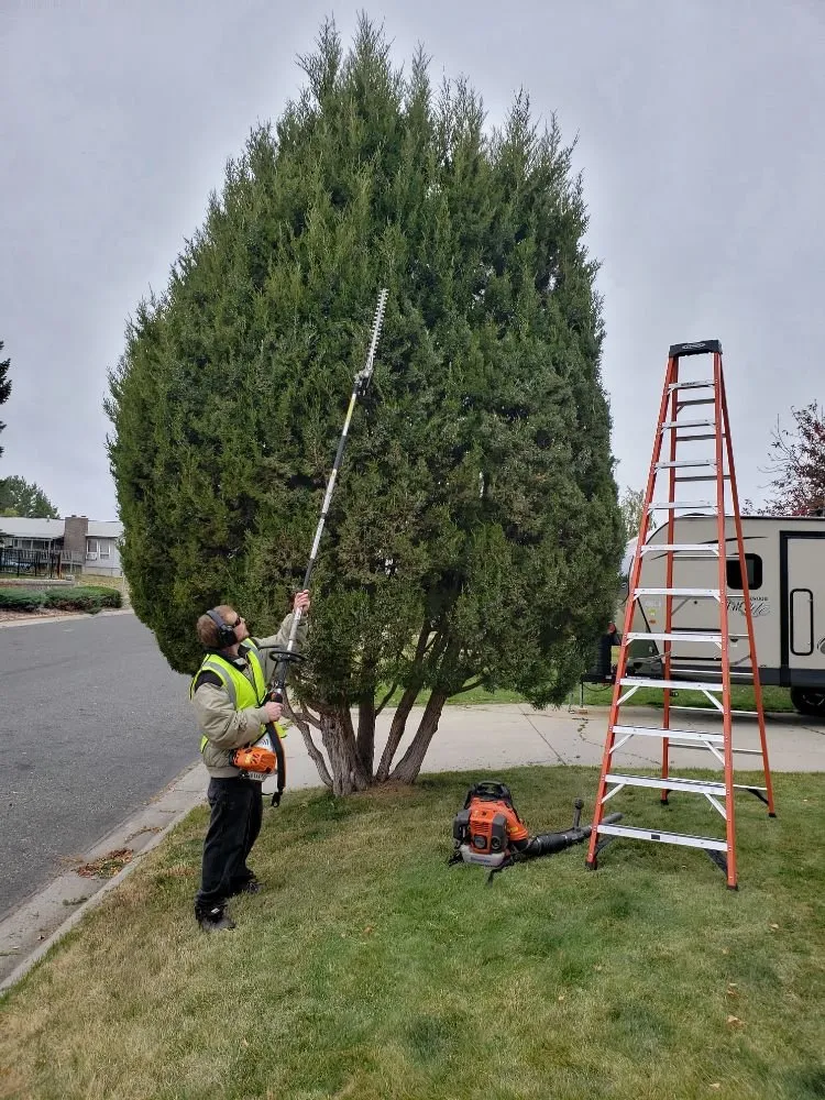 Affordable landscaping services for outdoor upgrades across Helena, MT - Helena Hedge Trimming