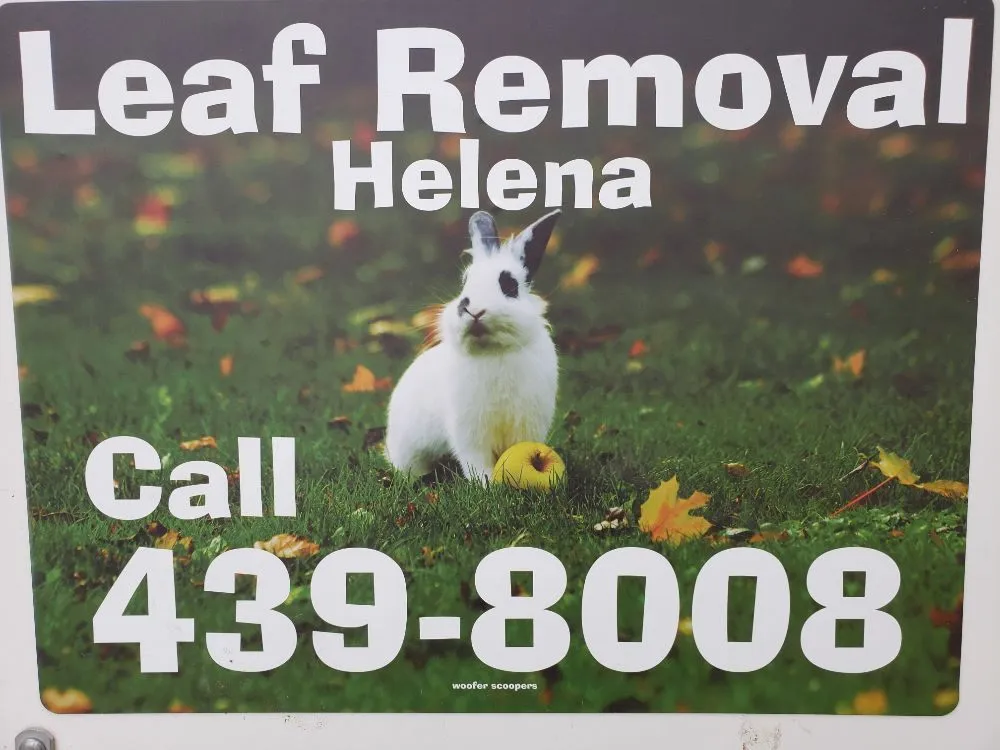 Affordable landscape design experts serving Helena, MT - Helena Hedge Trimming