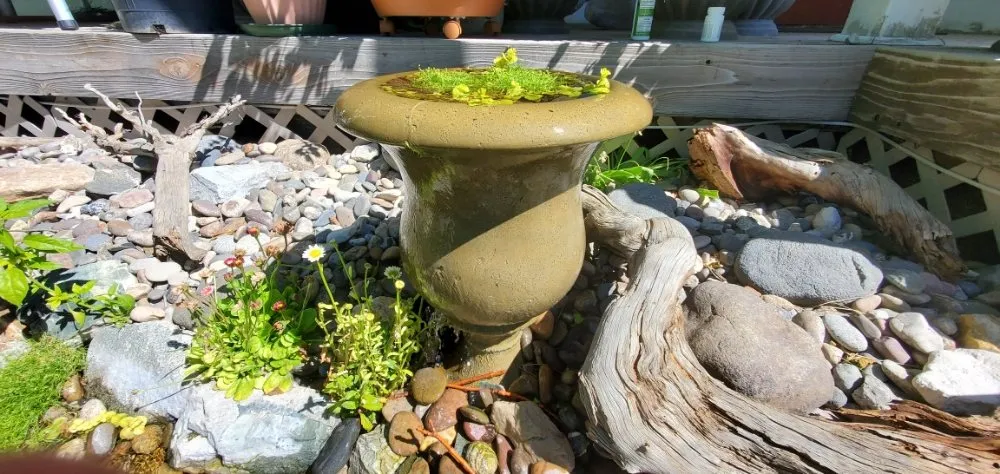 Professional outdoor landscaping for residential properties across Helena, MT - Helena Ponds And Water Features