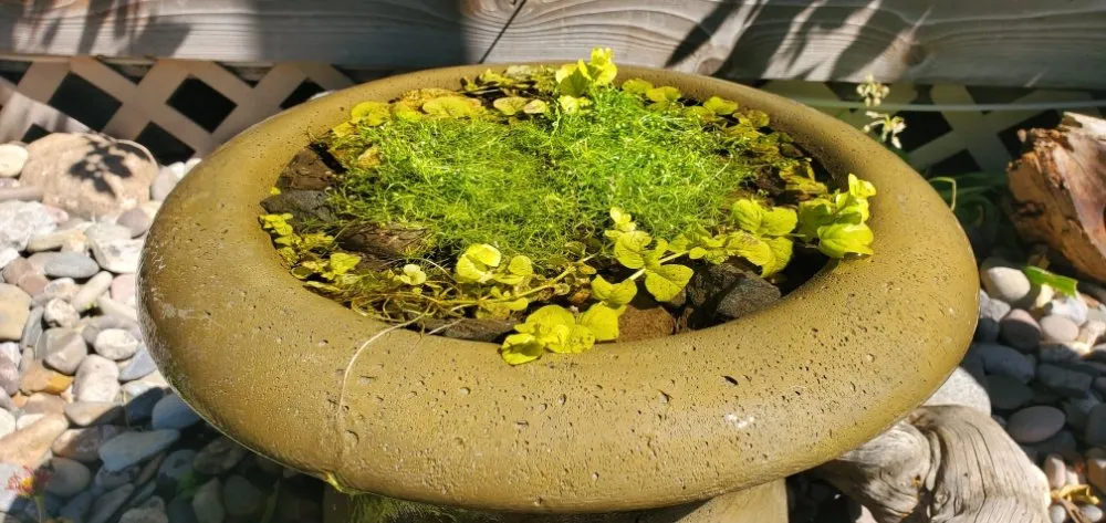 Affordable landscape design in Helena, MT by Helena Ponds And Water Features