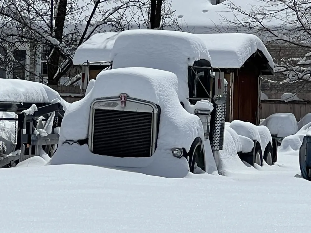 Expert yard cleanup service in Salt Lake City, UT by Helf Hardscaping