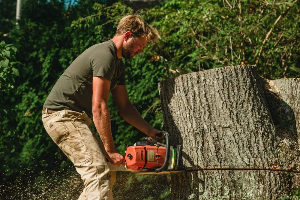 Top-rated lawn care service for year-round maintenance in Little Compton, RI by Helger Bros Tree Service