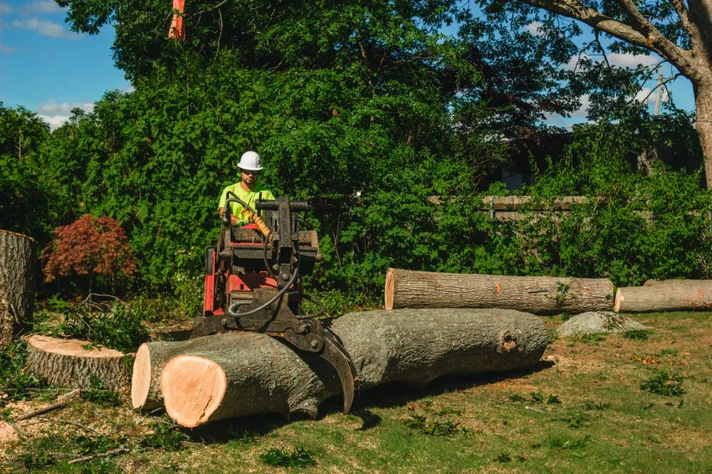Trusted lawn mowing service for year-round maintenance in Little Compton, RI by Helger Bros Tree Service