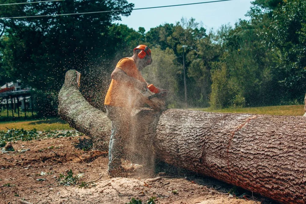 Affordable landscape design experts serving Little Compton, RI - Helger Bros Tree Service