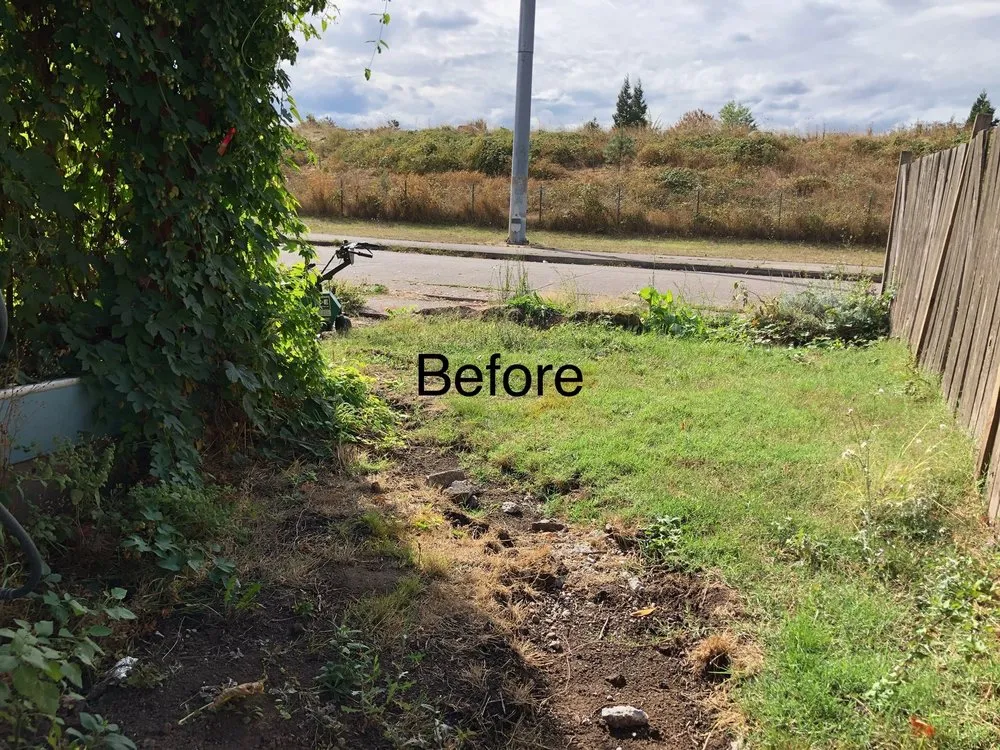 Professional residential landscaping in Eugene, OR by Helikson And Sons