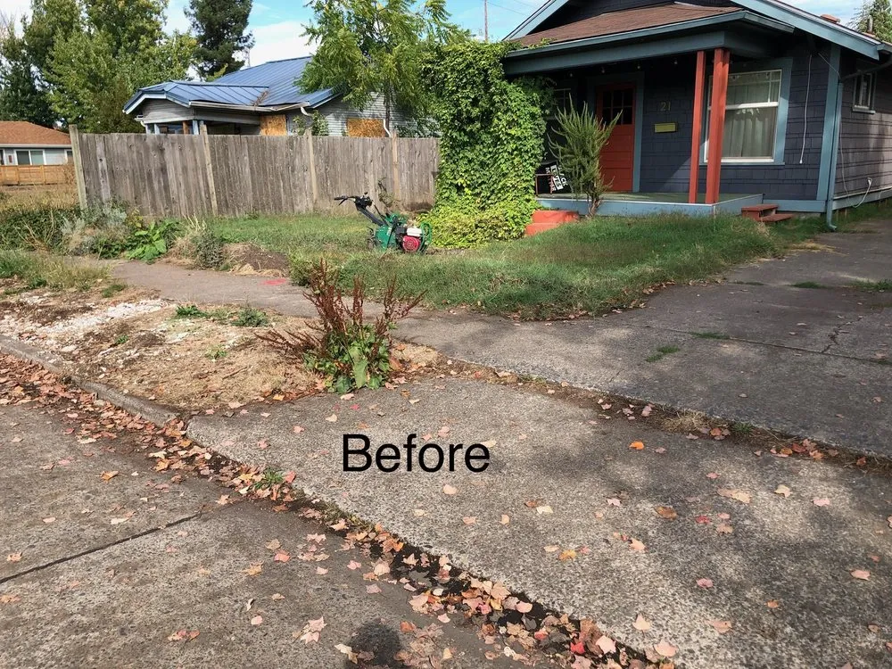 Affordable garden landscaping for year-round maintenance across Eugene, OR - Helikson And Sons