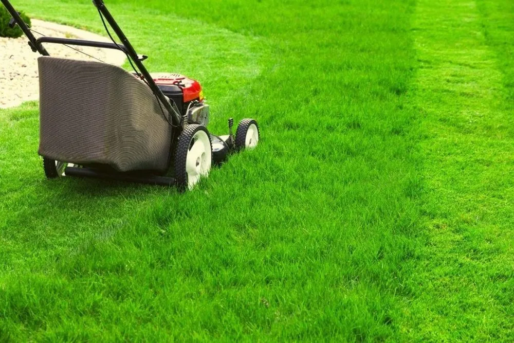 Reliable yard cleanup service for year-round maintenance in Washington DC, DC by Helios Lawn Care