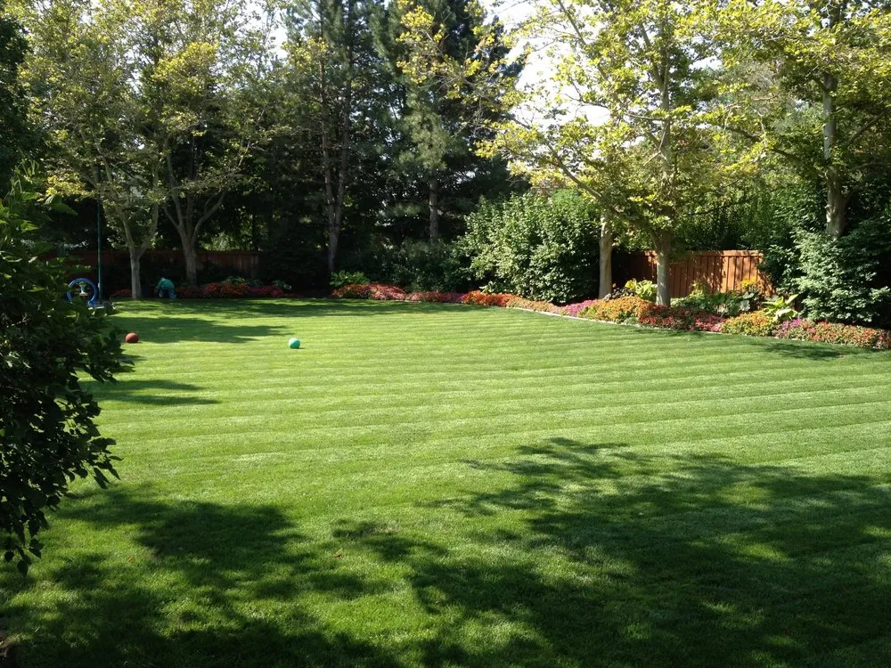 Professional landscaping services for outdoor upgrades across Everett, WA - Helitx Landscaping