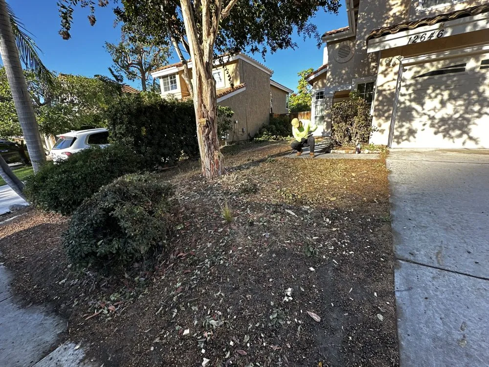 Reliable landscape installation near you across Spring Valley, CA - Helix Dreamscapes