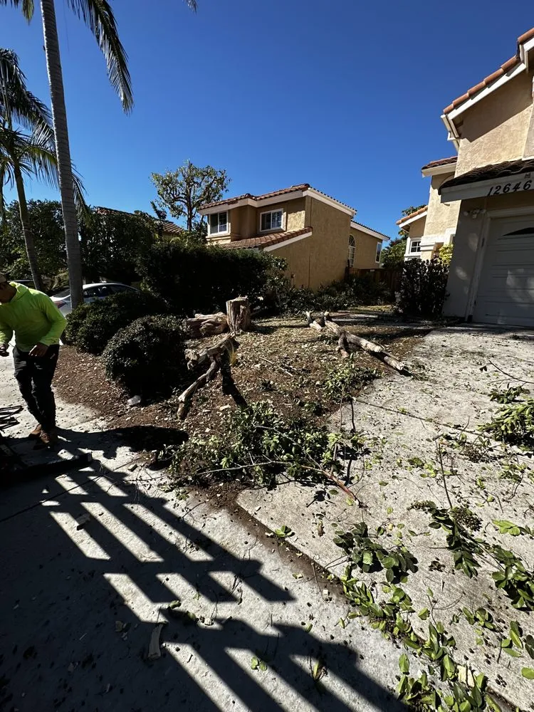 Top-rated landscape installation for homes across Spring Valley, CA - Helix Dreamscapes