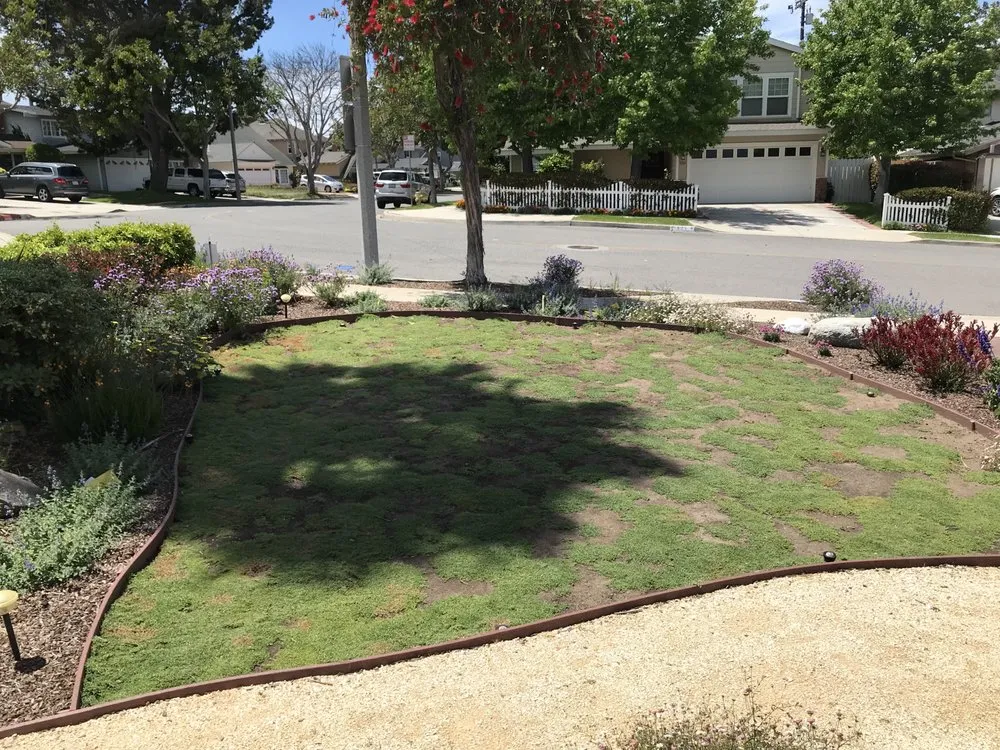Custom lawn care service experts serving Hawthorne, CA - Helix Landscape Construction