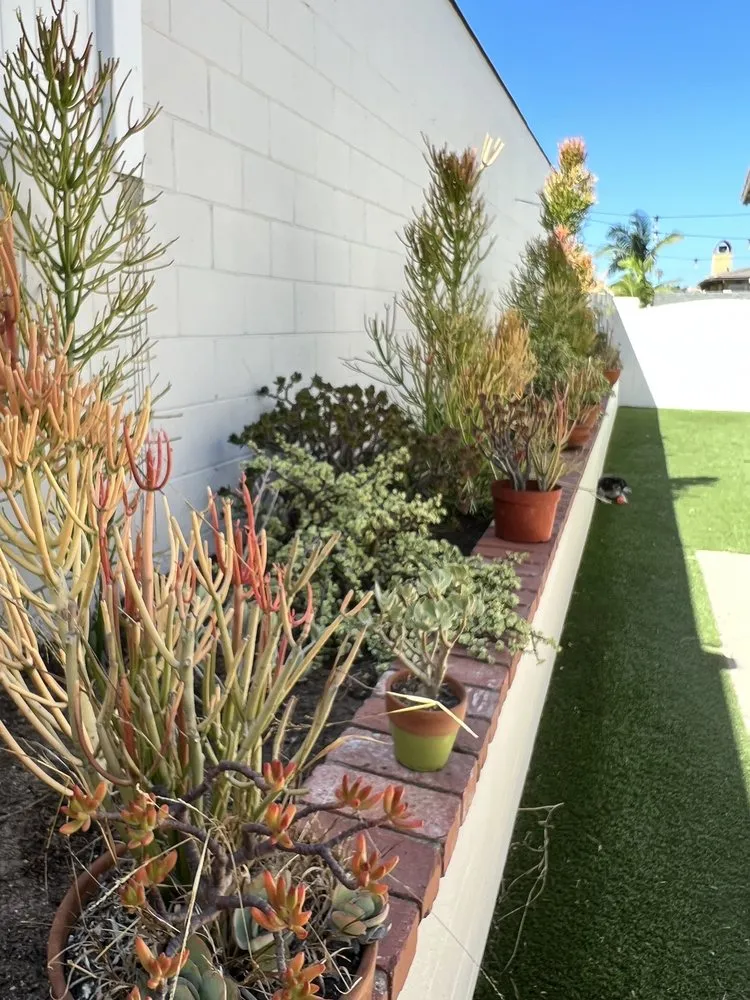 Reliable lawn mowing service for outdoor upgrades across Hawthorne, CA - Helix Landscape Construction