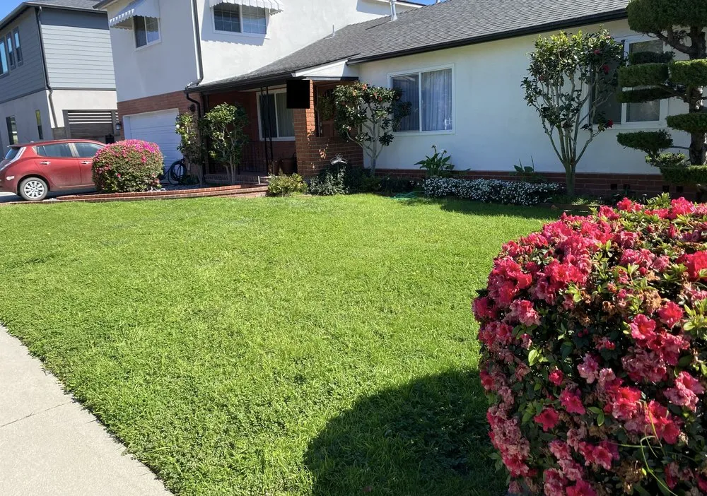 Trusted landscape design experts serving Hawthorne, CA - Helix Landscape Construction