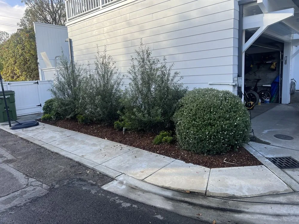 Reliable yard maintenance in Hawthorne, CA - Helix Landscape Construction