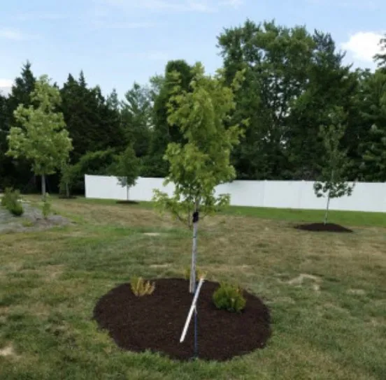 Professional lawn care service for homes in Imperial, MO by Heller's Land, Lawn, Building Maintenance