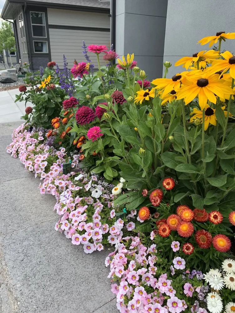 Local landscape design in Lakewood, CO - Helm Gardeners & Landscaping