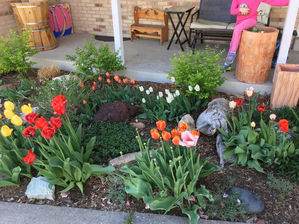 Professional lawn mowing service experts serving Lakewood, CO - Helm Gardeners & Landscaping