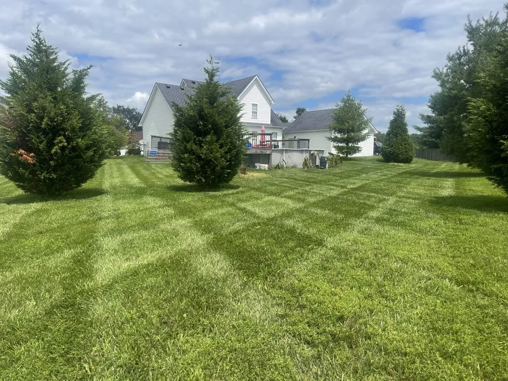 Custom landscape design in Louisville, KY - HELM Lawn & Landscaping