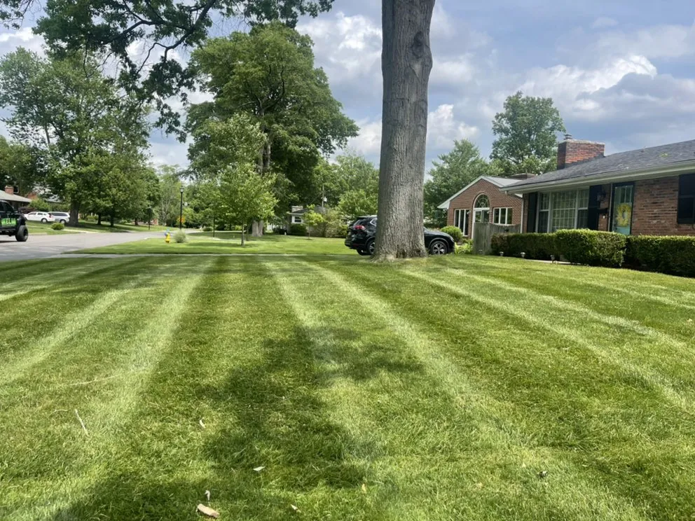 Affordable residential landscaping for year-round maintenance across Louisville, KY - HELM Lawn & Landscaping