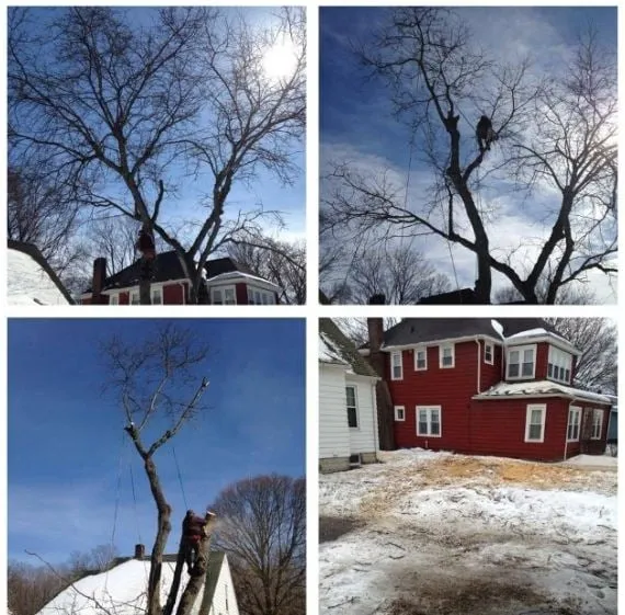 Custom lawn care service for outdoor upgrades in Oneida, NY by Helmer's Complete Tree & Landscape