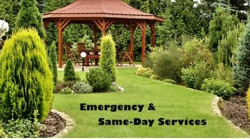 Custom landscaping services experts serving Oneida, NY - Helmer's Complete Tree & Landscape