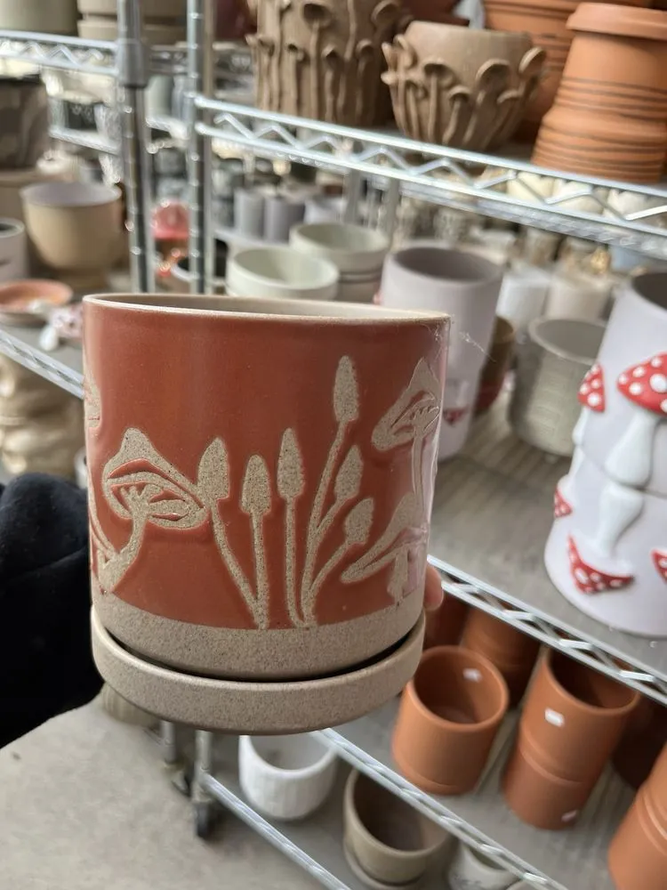 Professional lawn mowing service experts serving Columbia, MO - Helmi's Gardens