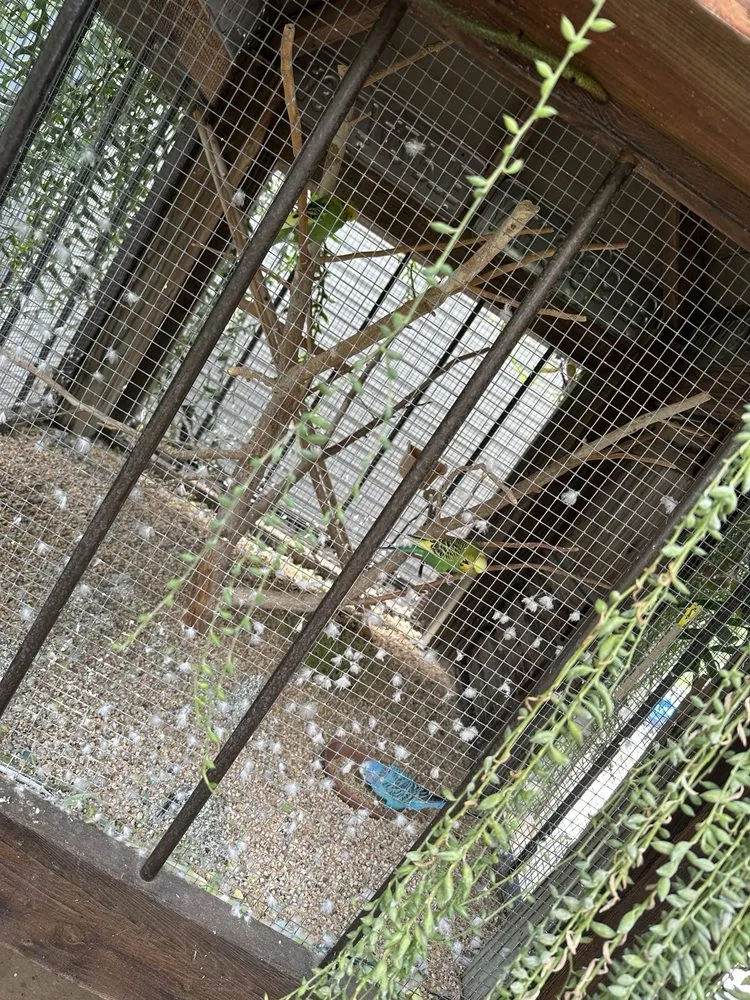 Affordable yard cleanup service in Columbia, MO - Helmi's Gardens