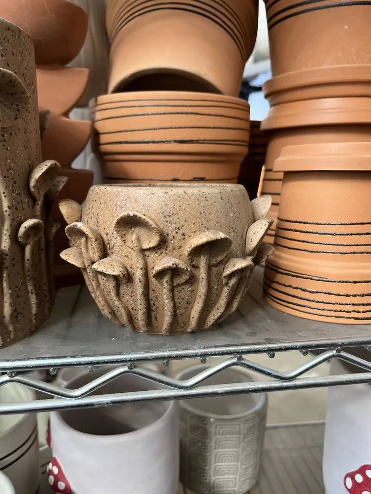 Reliable landscaping services for homes in Columbia, MO by Helmi's Gardens