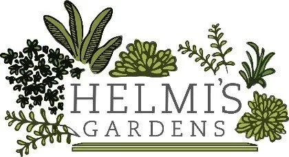 Reliable yard maintenance for year-round maintenance in Columbia, MO by Helmi's Gardens