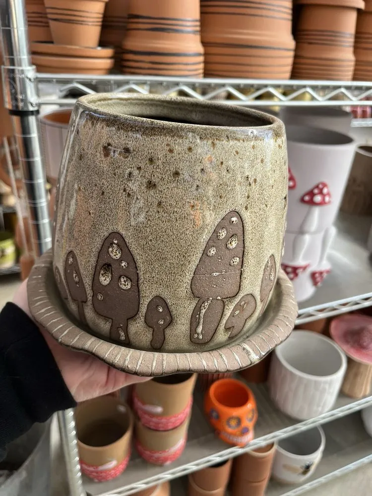 Expert yard maintenance in Columbia, MO - Helmi's Gardens