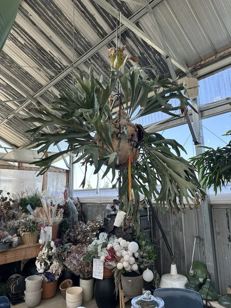 Expert garden landscaping experts serving Columbia, MO - Helmi's Gardens