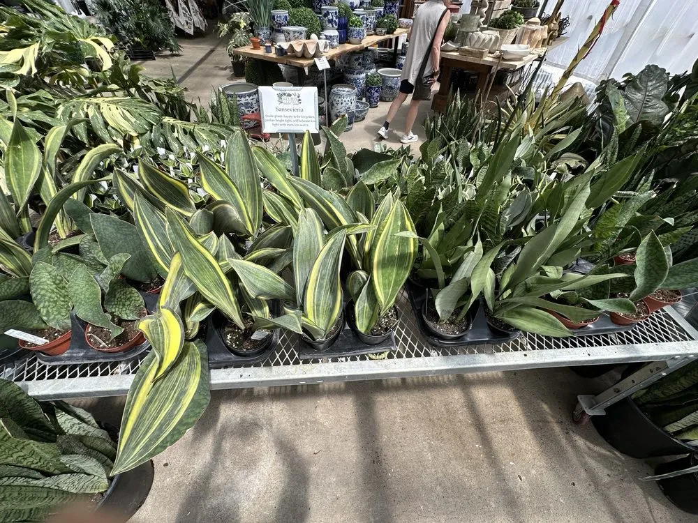 Affordable landscape design for residential properties in Columbia, MO by Helmi's Gardens