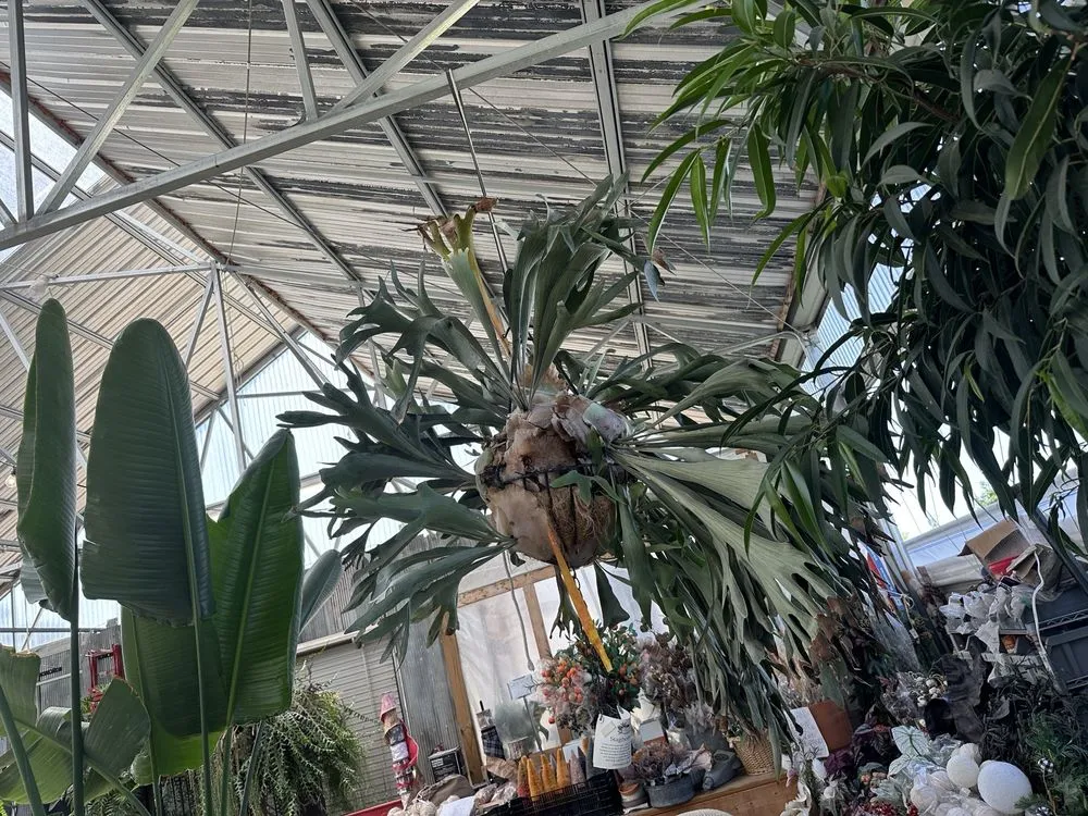 Professional garden landscaping for beautiful yards in Columbia, MO by Helmi's Gardens