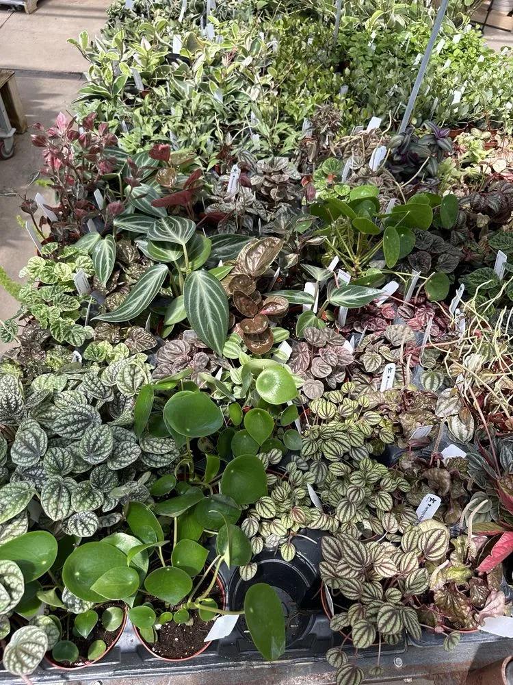 Affordable residential landscaping for outdoor upgrades across Columbia, MO - Helmi's Gardens