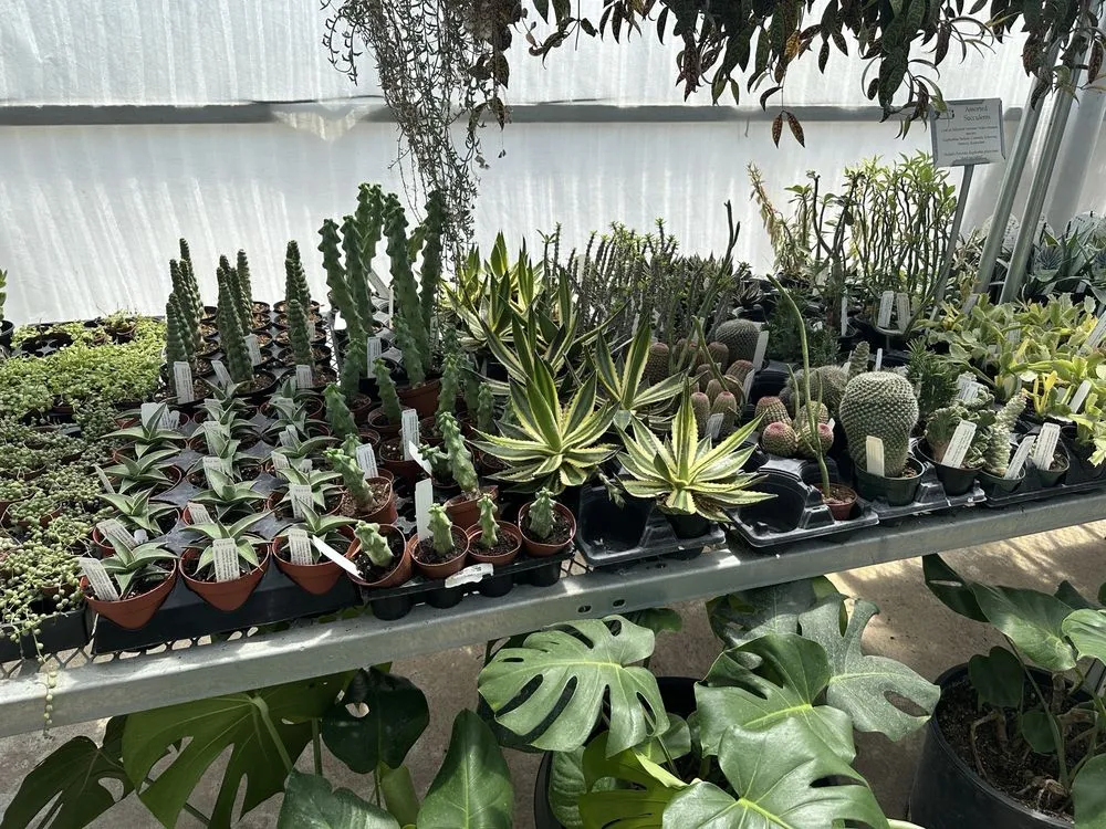 Local residential landscaping experts serving Columbia, MO - Helmi's Gardens