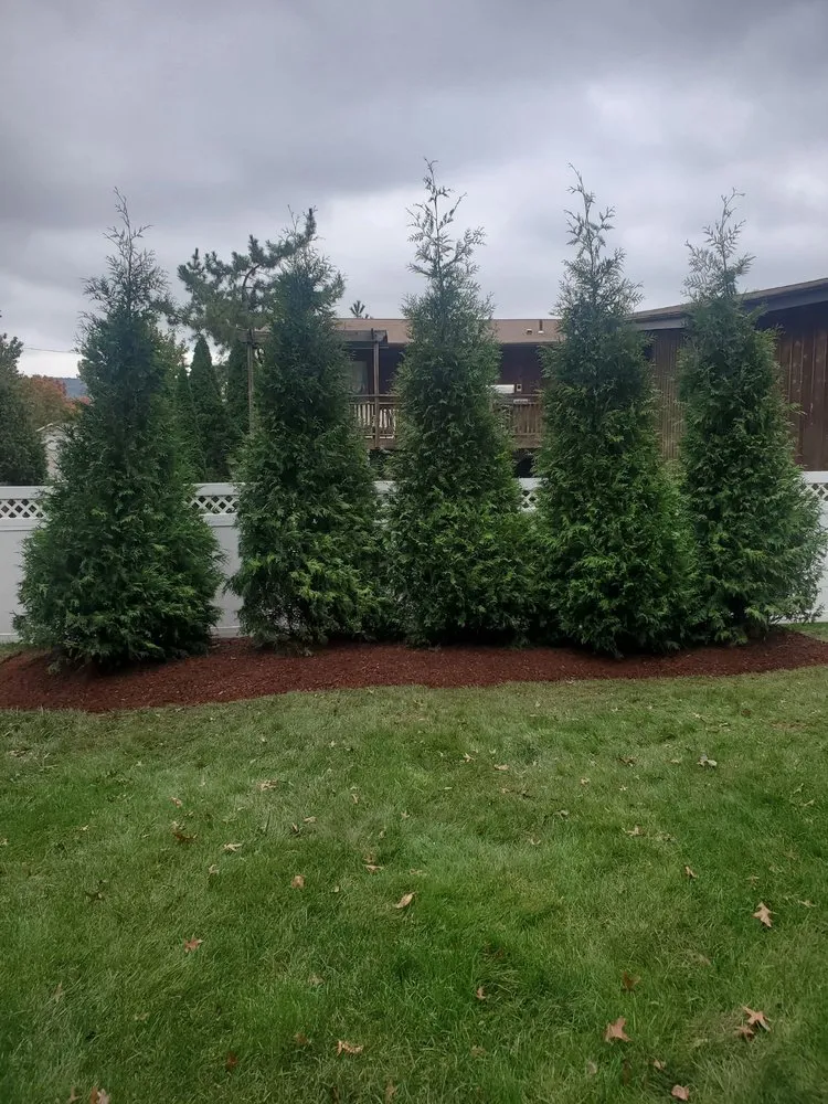 Trusted lawn mowing service for outdoor upgrades in Orangeburg, NY by Helmke Industries