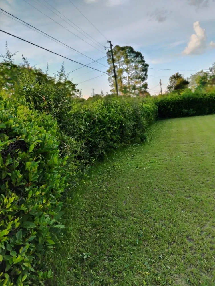 Trusted landscape installation for residential properties in Bishopville, SC by Helms Lawn and Shrubs