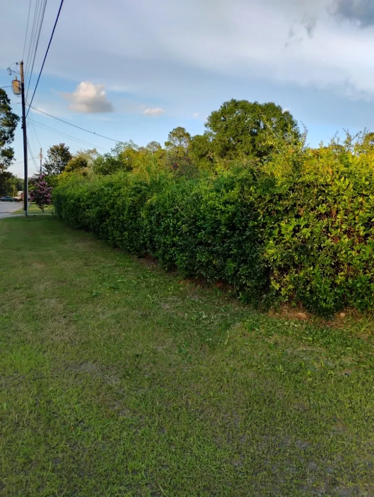 Custom landscaping services near you across Bishopville, SC - Helms Lawn and Shrubs