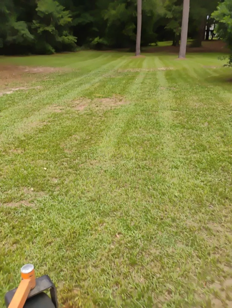 Professional garden landscaping experts serving Bishopville, SC - Helms Lawn and Shrubs