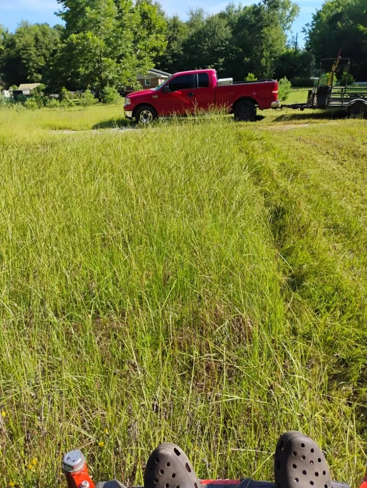 Expert outdoor landscaping in Bishopville, SC - Helms Lawn and Shrubs